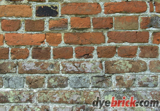Old Wall Renovation